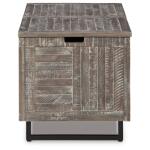 Coltport Storage Trunk - Image 5