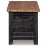 Dashbury Storage Trunk - Image 5