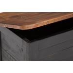 Dashbury Storage Trunk - Image 8