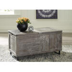 Coltport Storage Trunk