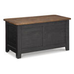 Dashbury Storage Trunk