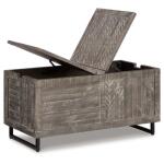 Coltport Storage Trunk - Image 4