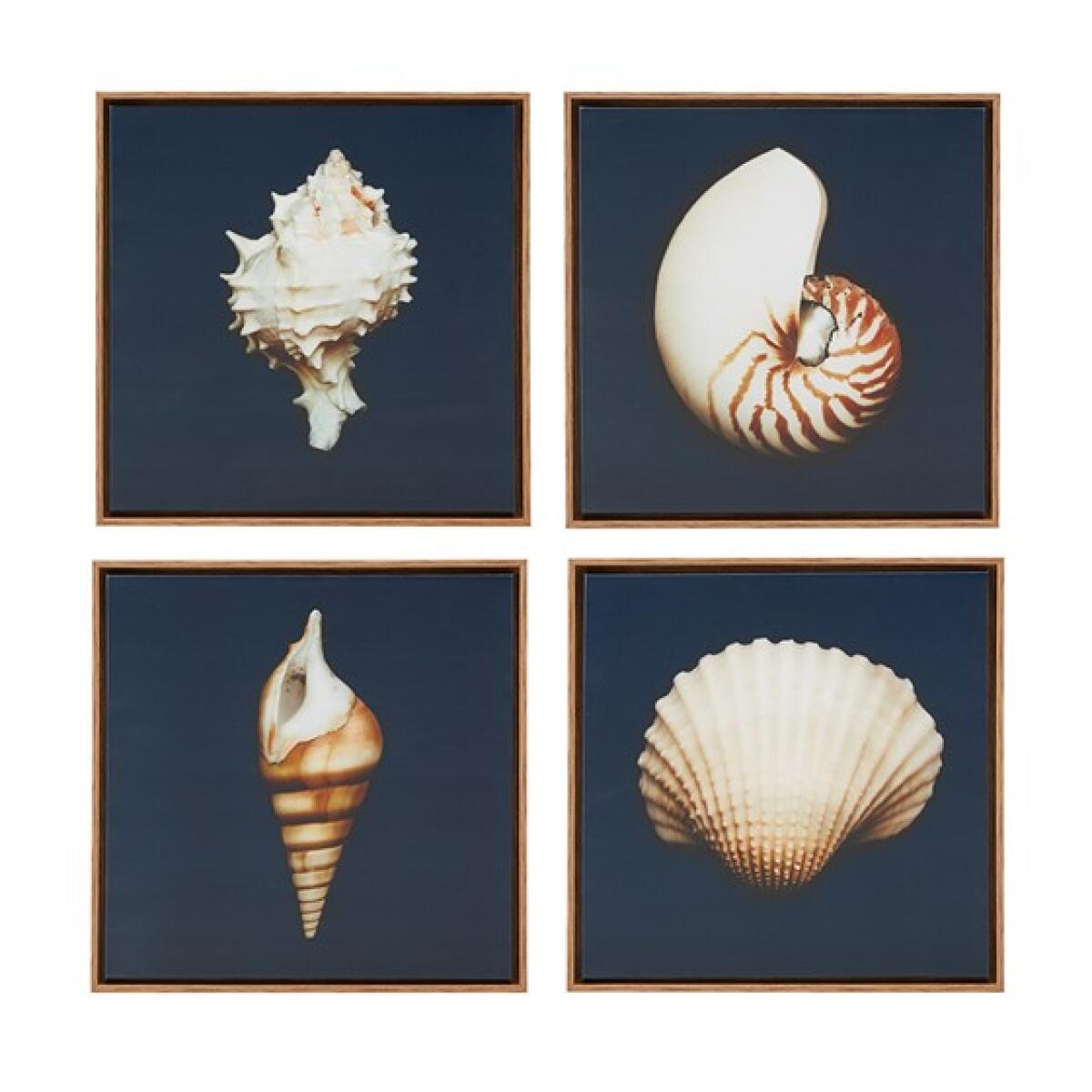 Ocean Seashells 4-piece Framed Canvas Wall Art Set- Blue Ocean Seashells 4-piece Framed Canvas Wall Art Set- Blue - Image 1