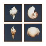 Ocean Seashells 4-piece Framed Canvas Wall Art Set- Blue