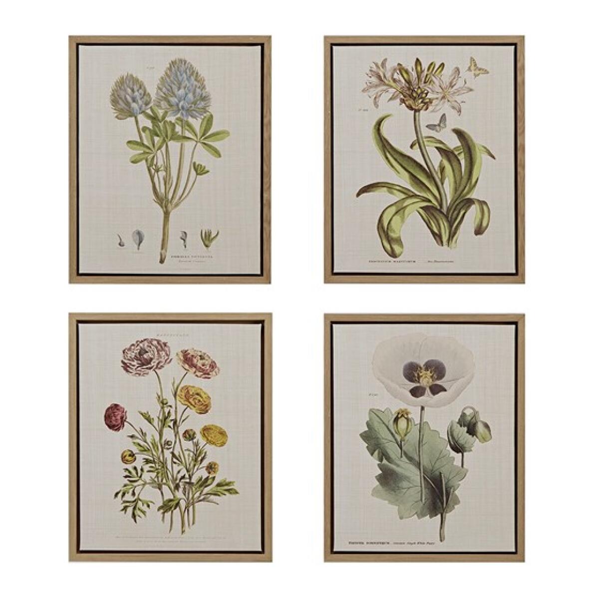 Herbal Botany 4-piece Botanical Illustration Framed Canvas Wall Art Set- Green Herbal Botany 4-piece Botanical Illustration Framed Canvas Wall Art Set- Green - Image 1