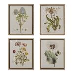 Herbal Botany 4-piece Botanical Illustration Framed Canvas Wall Art Set- Green
